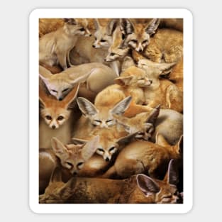 Fennecs Sticker